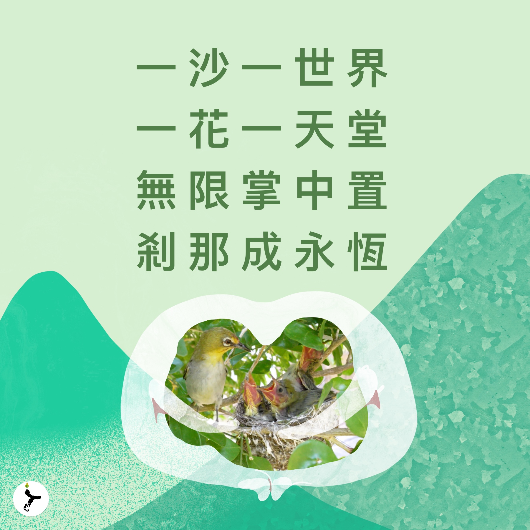 🌿 一花一天堂——生物的共生關係